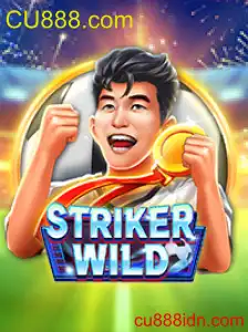 StrikerWILD